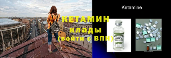 мет Алексин