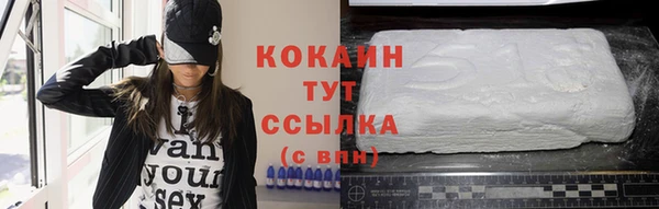 гашик Алексеевка