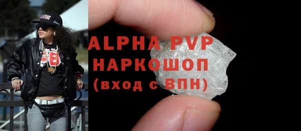 индика Весьегонск