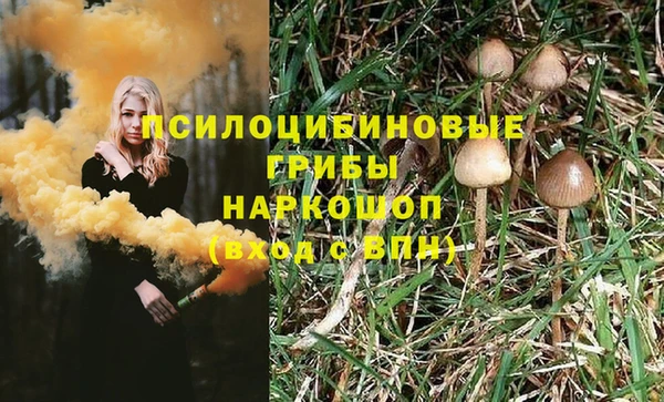 мет Алексин