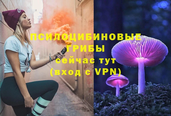 мет Алексин