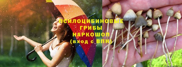 гашик Алексеевка
