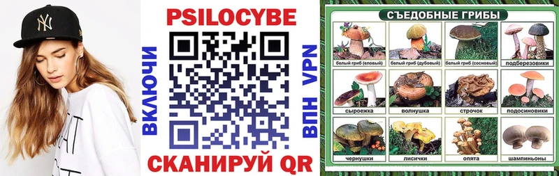 Галлюциногенные грибы мицелий hydra Перевоз